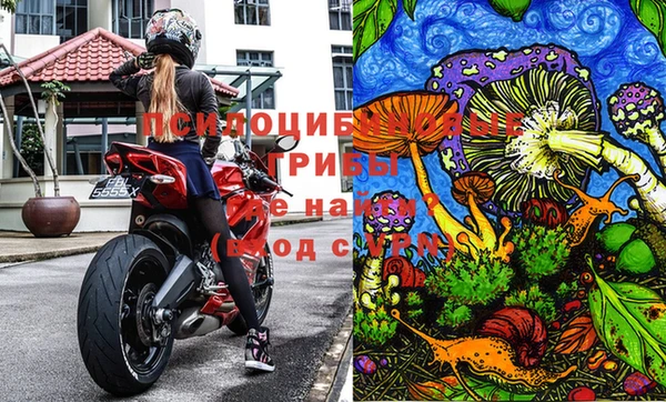 прущие крисы Горняк