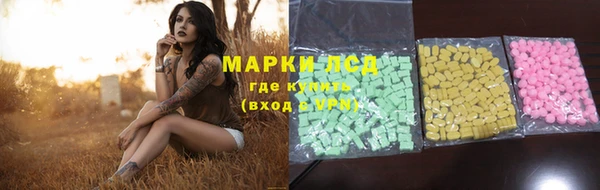 прущие крисы Горняк