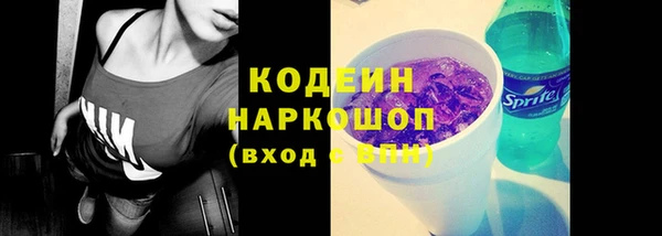 прущие крисы Горняк