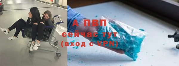 прущие крисы Горняк