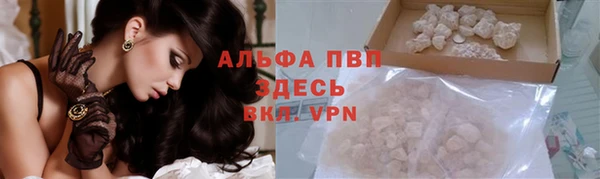 прущие крисы Горняк