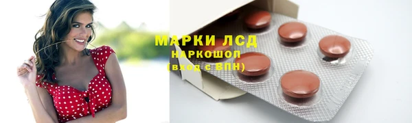 прущие крисы Горняк