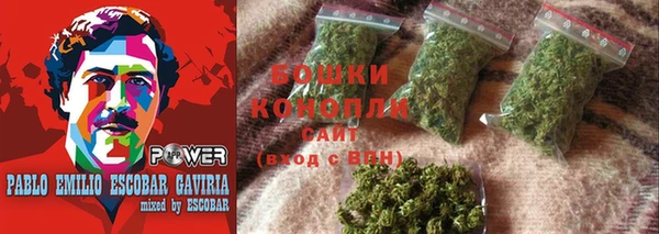 гидра Вязьма