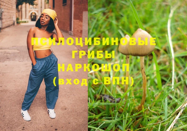 прущие крисы Горняк